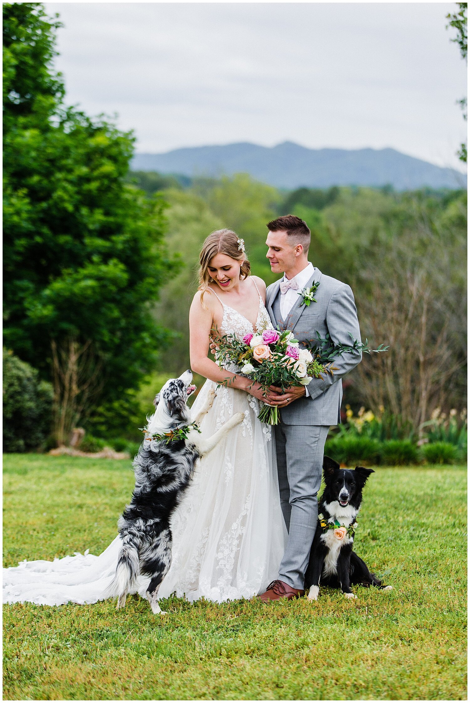 Dog-Friendly Wedding Venues Elevate Your Special Day